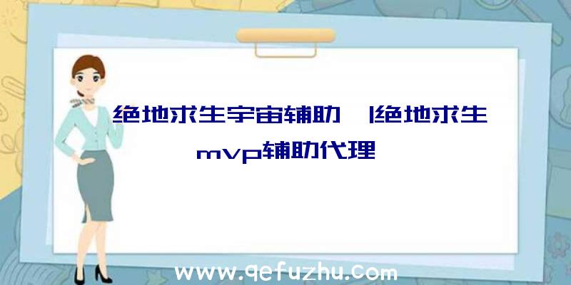 「绝地求生宇宙辅助」|绝地求生mvp辅助代理